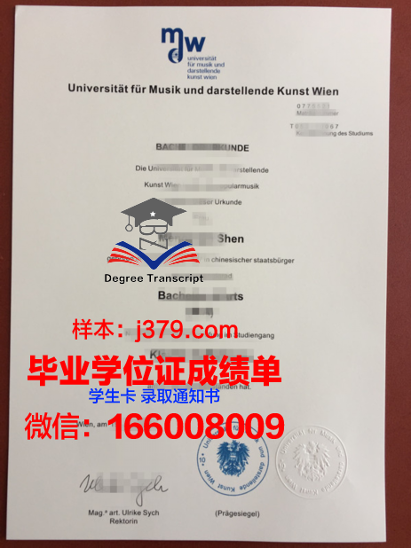 维也纳造型艺术学院本科毕业证(维也纳艺术学院负全责)