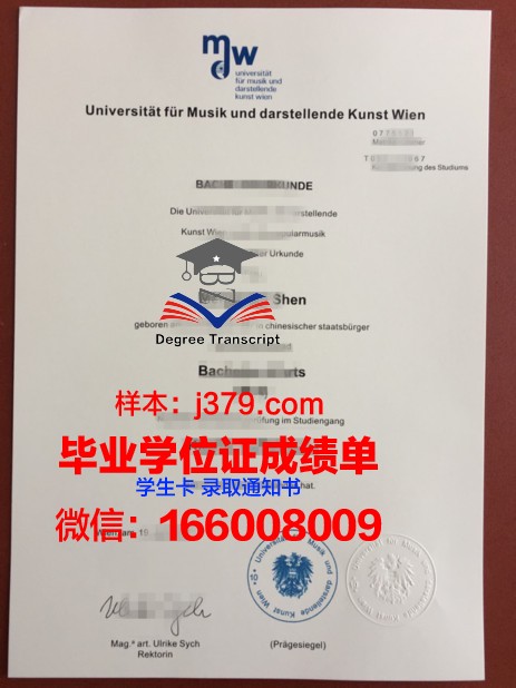 维也纳应用艺术大学毕业文凭
