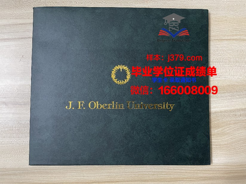 雷根斯堡大学博士毕业证书(雷根斯堡应用技术大学在应用技术大学的排名)