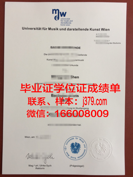 维也纳医科大学毕业证：跨越国界的医学荣耀
