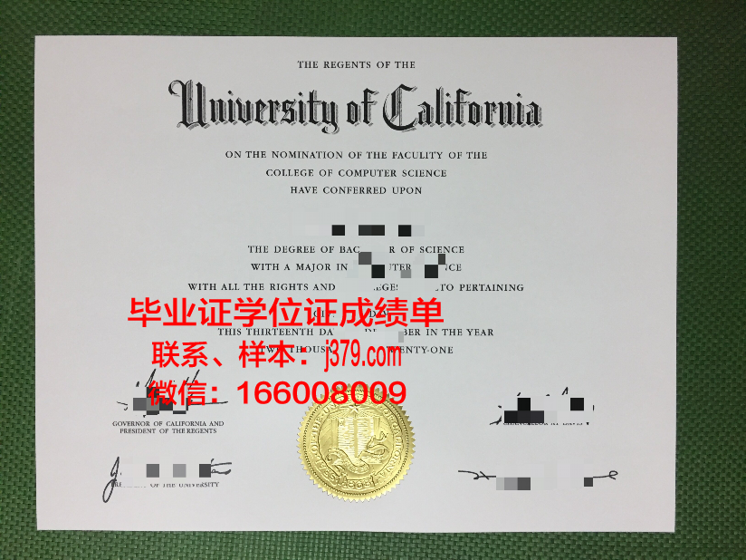 雪平本科毕业证：承载青春回忆的珍贵证书