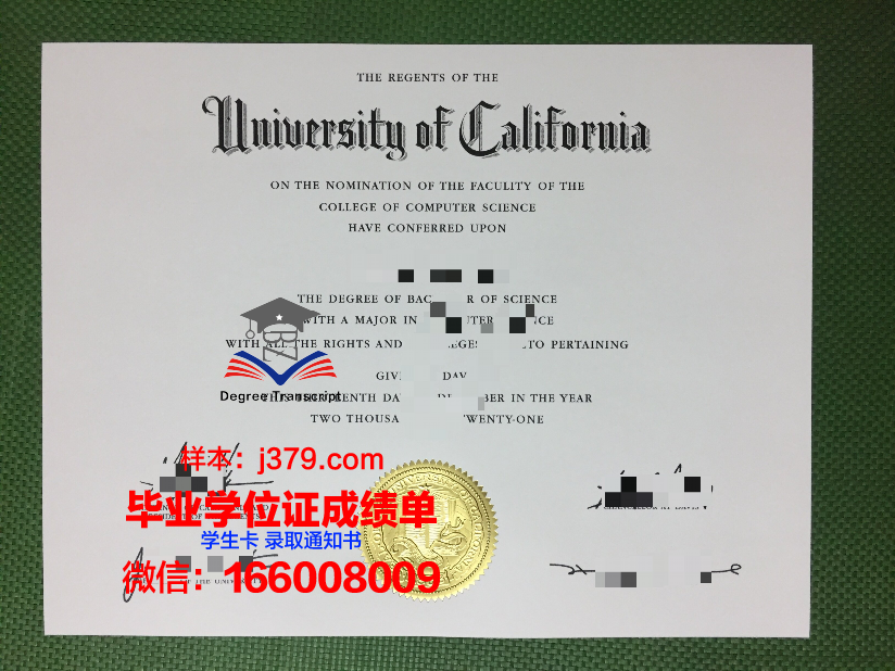 维特博大学毕业证是什么样呢(维特博大学毕业证是什么样呢图片)