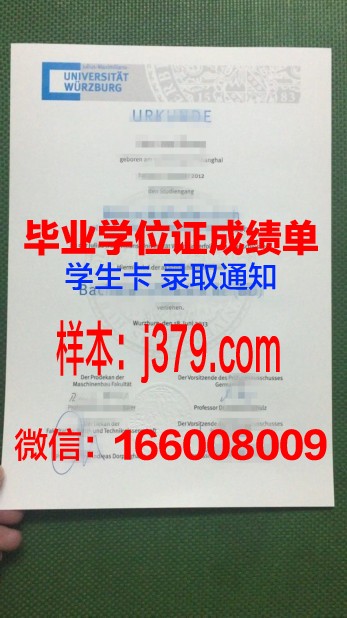 维尔茨堡大学硕士毕业证(维尔茨堡大学医学博士)