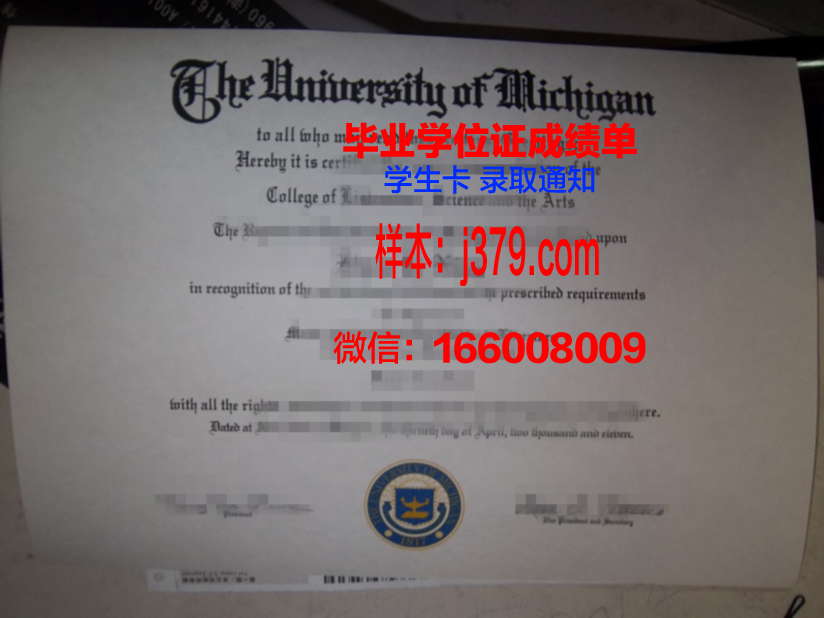 雷恩第一大学的毕业证都能做(雷恩第一大学的毕业证都能做什么实验)