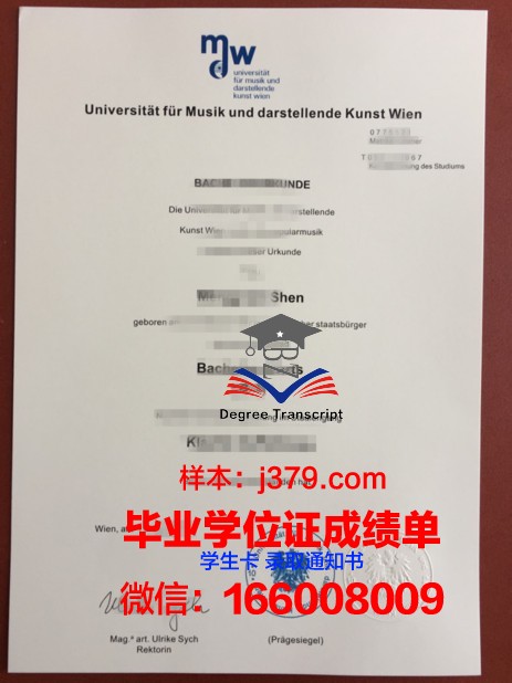 维也纳应用艺术大学成绩单(维也纳艺术学院落榜考生)