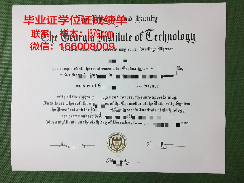 维特利亚国立理工学院毕业文凭
