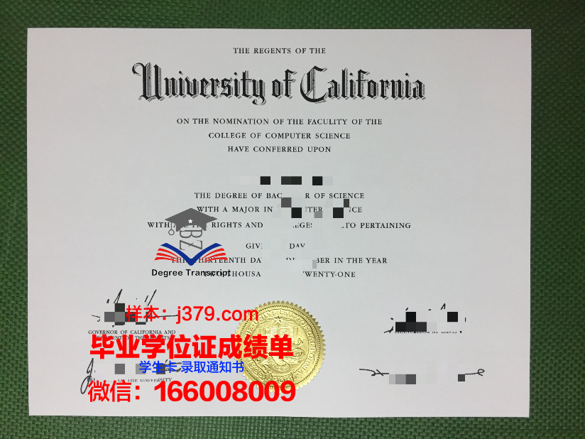 陶里亚蒂国立大学毕业证补办(利兹大学毕业证寄丢了)