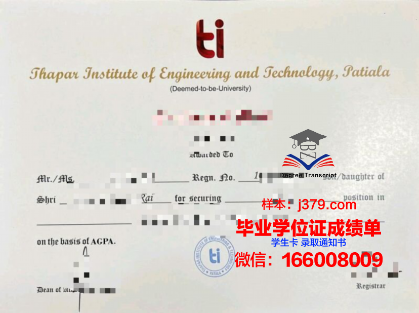 纽约美术学院成绩单:艺术教育的璀璨印记