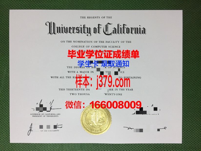 霍姆斯格兰技术与继续教育学院毕业证模板(霍姆伯格远程教育)