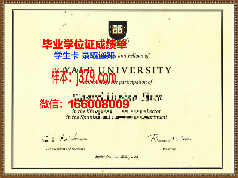 纽黑文大学毕业证好找工作吗(纽黑文大学和耶鲁大学有多远)