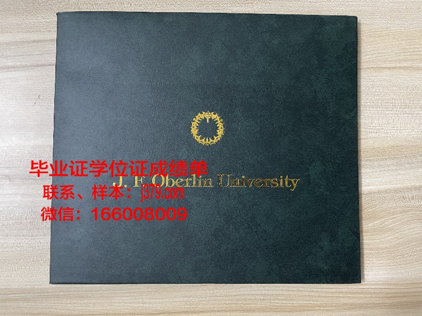 维戈大学diploma证书(维戈大学排名)