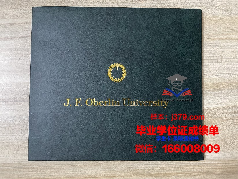 雷根斯堡应用技术大学博士毕业证书(雷根斯堡大学dsh)