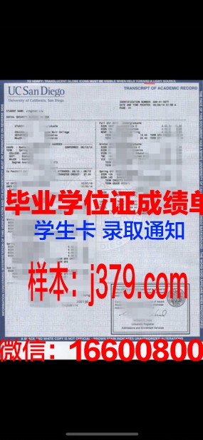 千大成绩单：成长的印记与未来的期许